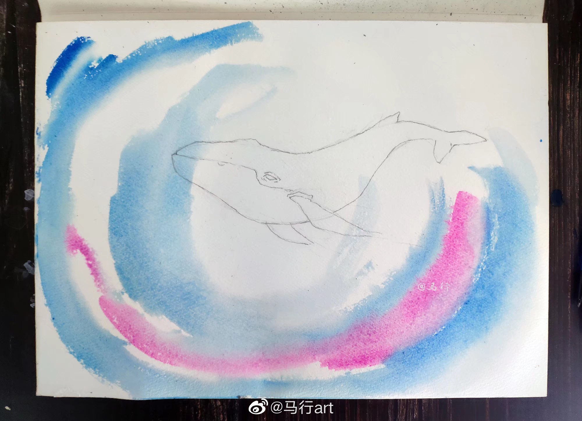 大鱼海棠彩铅画鲲教程图片