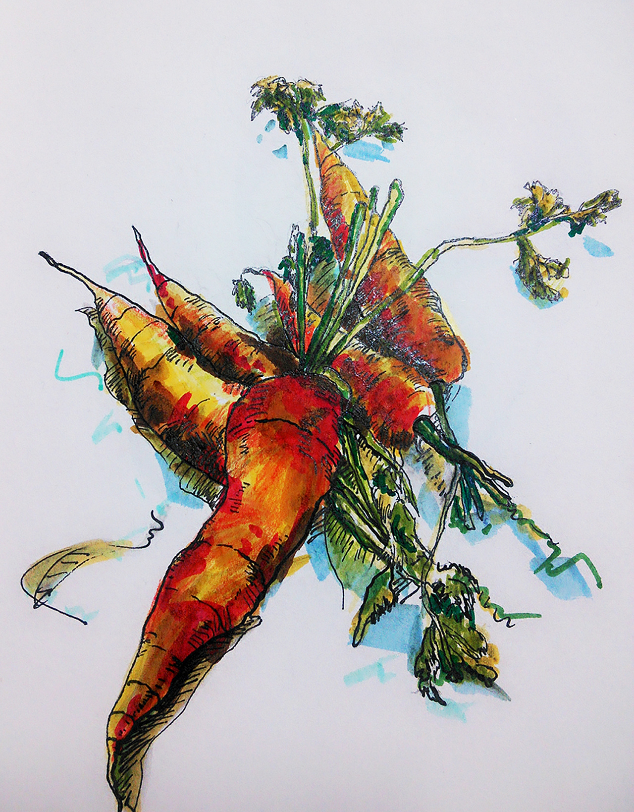   马克笔手绘的胡萝卜