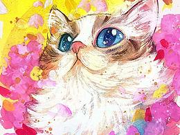 彩铅、油画棒