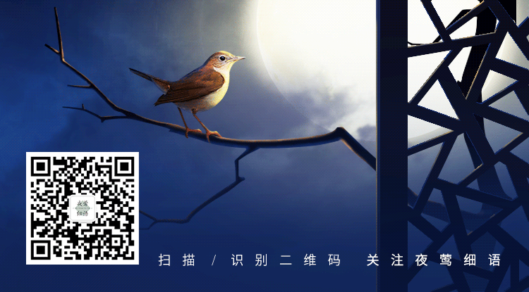 公众号首尾图-节选（图ZMTQ2ODA3MTI4） - 其他平面 - 站酷设计师litpoint原创素材 - 站酷ZCOOL