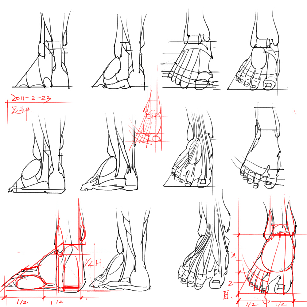 「素材」分享一波绘画专用人体解剖素材 part 05