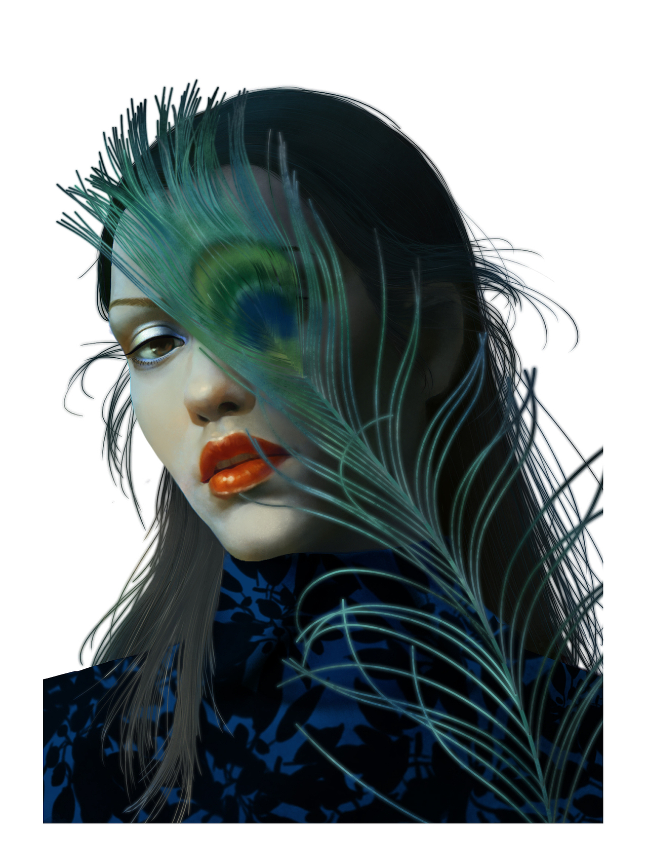 动态插画《孔雀》（图ZMjI3NzUzMjQ0） - 艺术插画 - 站酷设计师not虱原创素材 - 站酷ZCOOL