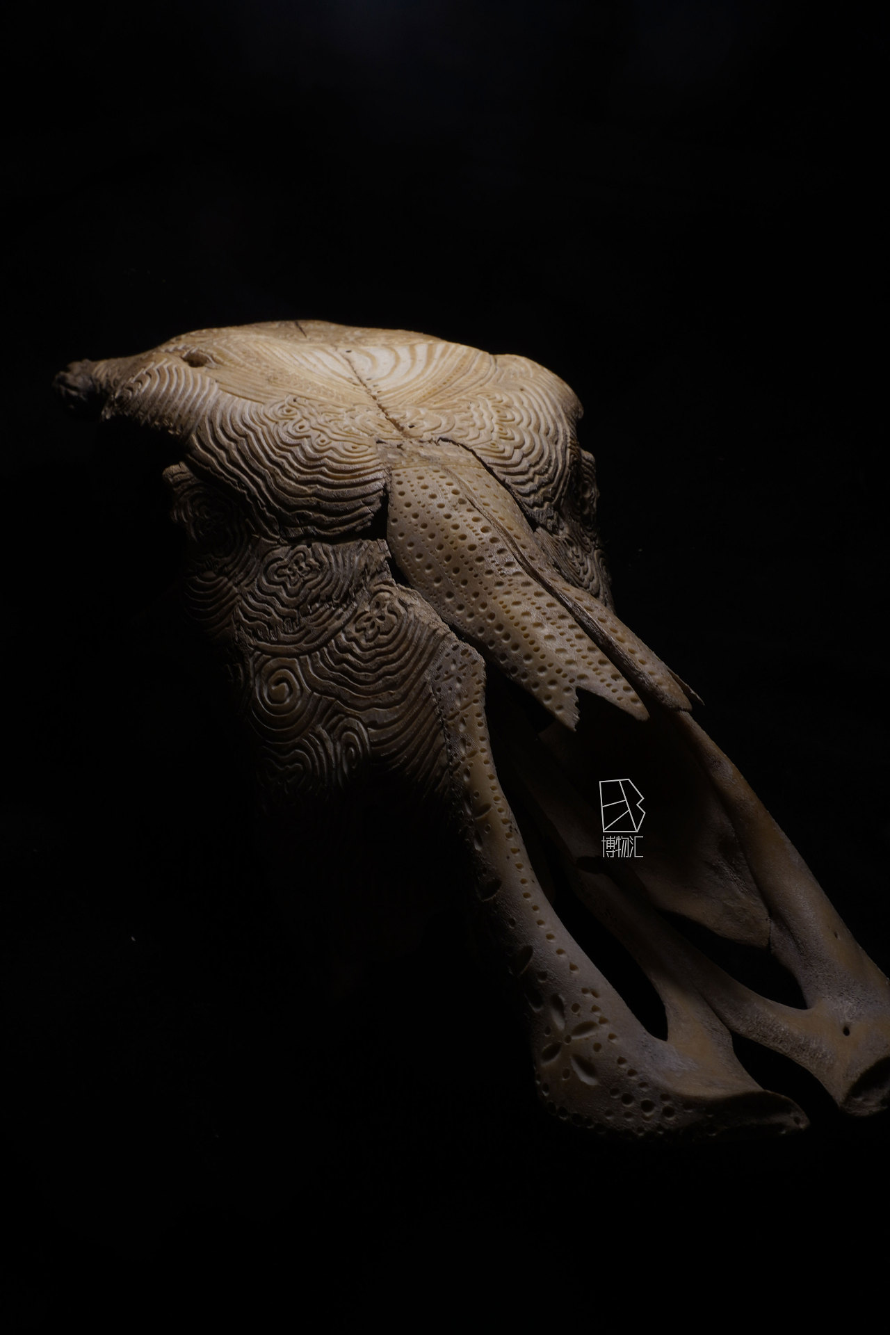 骨雕艺术摆件|手工艺|其他手工艺|潦草线条 - 原创作品 - 站酷 (zcool