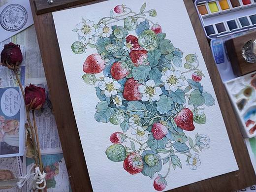 水彩——草莓🍓