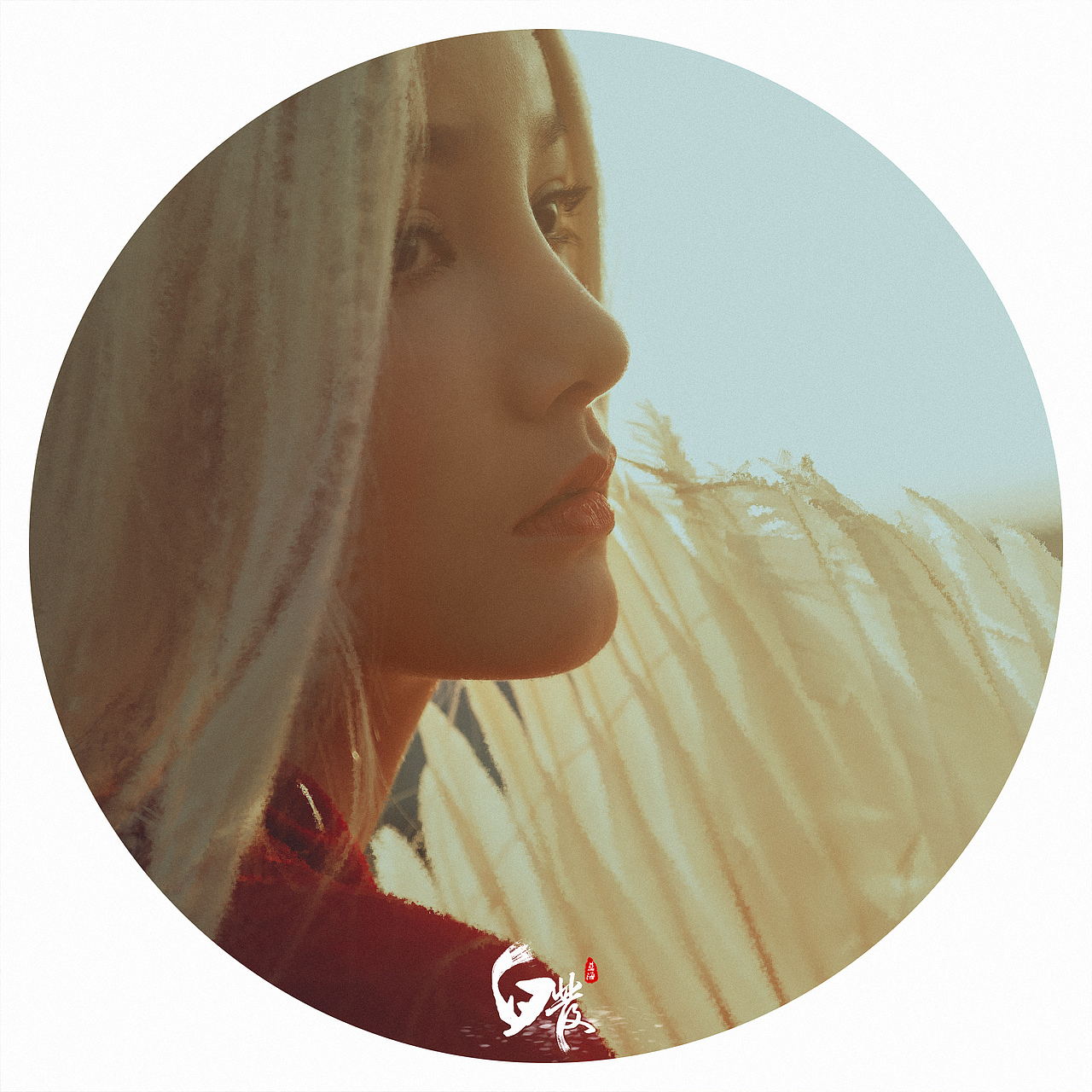 【白发】 图片+MV