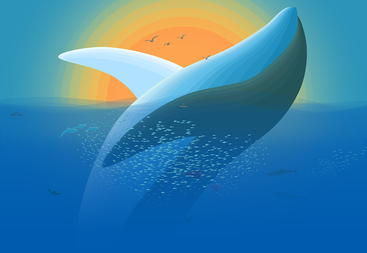 Whale（图ZMTY3MDA2MzIw） - 创作习作 - 站酷设计师xSILENCEx原创素材 - 站酷ZCOOL