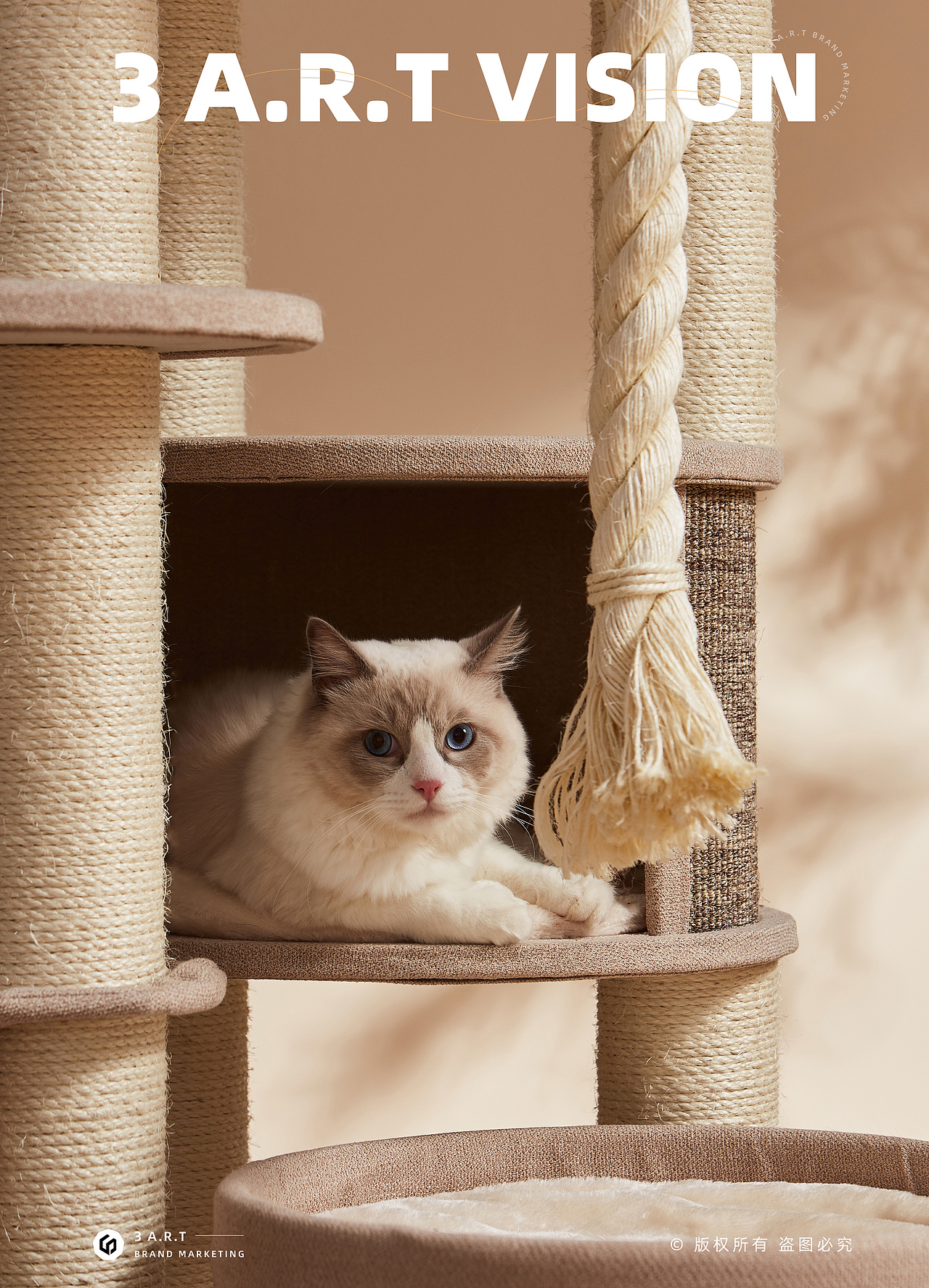平面摄影 | 兽牌猫爬架 × 三鼎品牌营销（图ZMjc3MjczODQ4） - 产品摄影 - 站酷设计师三鼎品牌营销原创素材 - 站酷ZCOOL