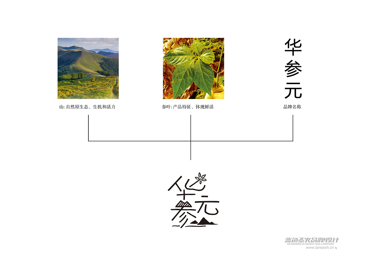 华参元品牌包装形象设计(图ZMTU2NTQyMTY=) - 品牌 - 站酷设计师蓝色盛火原创素材 - 站酷ZCOOL