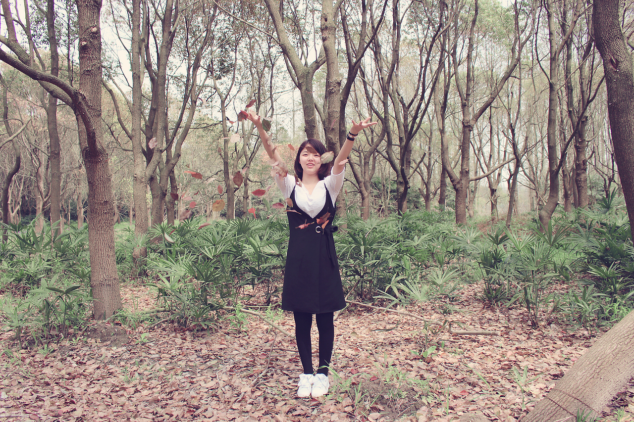 东平森林公园记