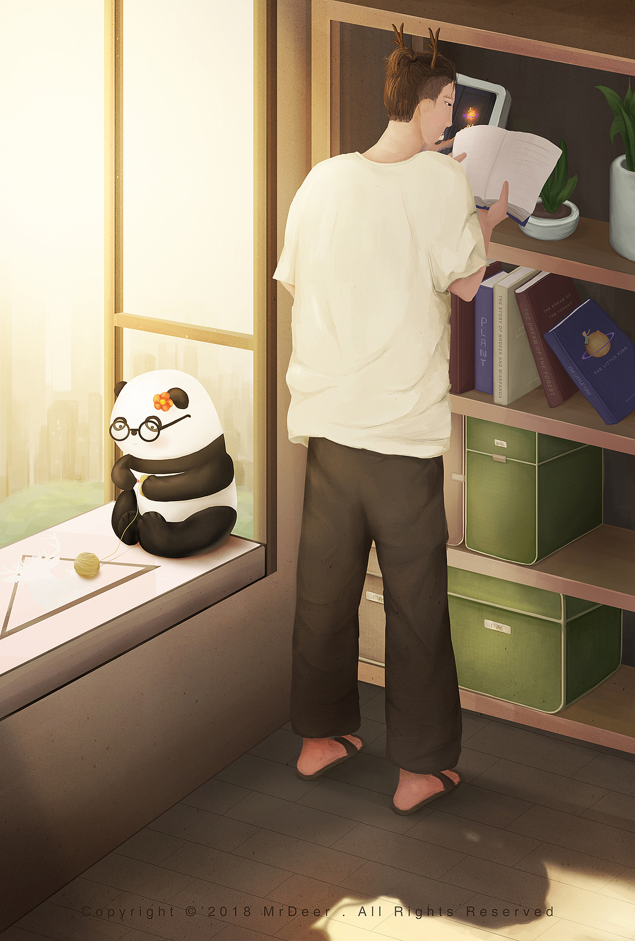 简单的日常,踏实的日子