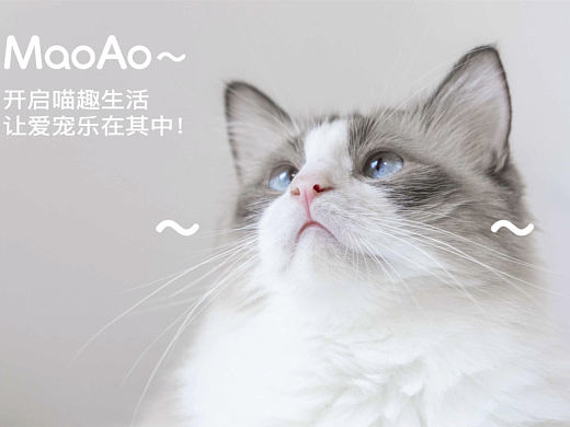 MaoAo-猫粮品牌