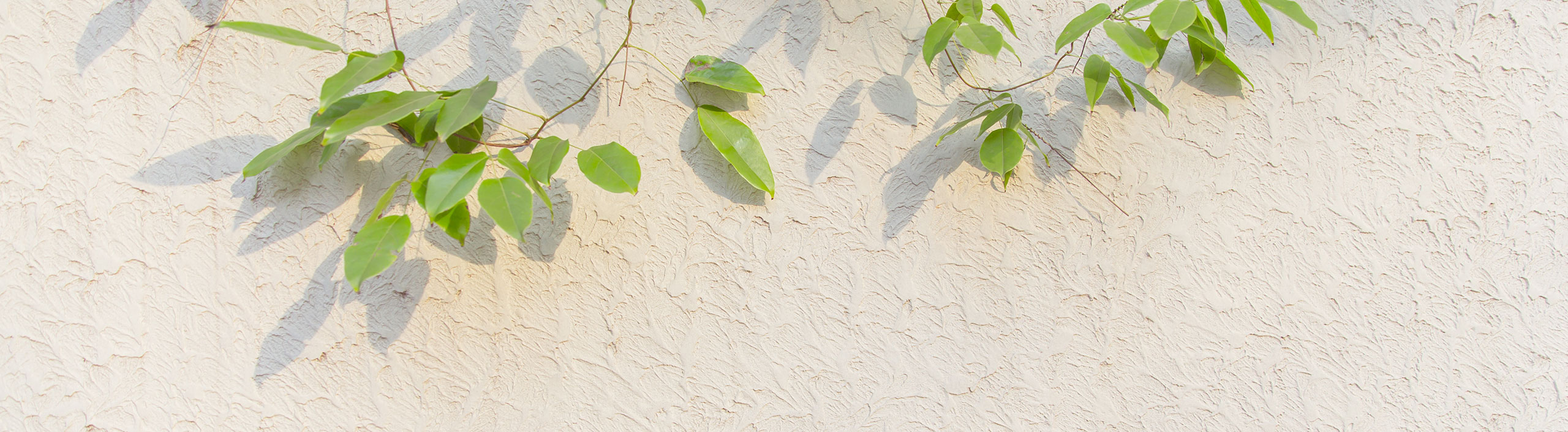 COLA_hm的个人主页（封面预览） - 主页封面设置 - 站酷设计师COLA_hm原创素材 - 站酷ZCOOL