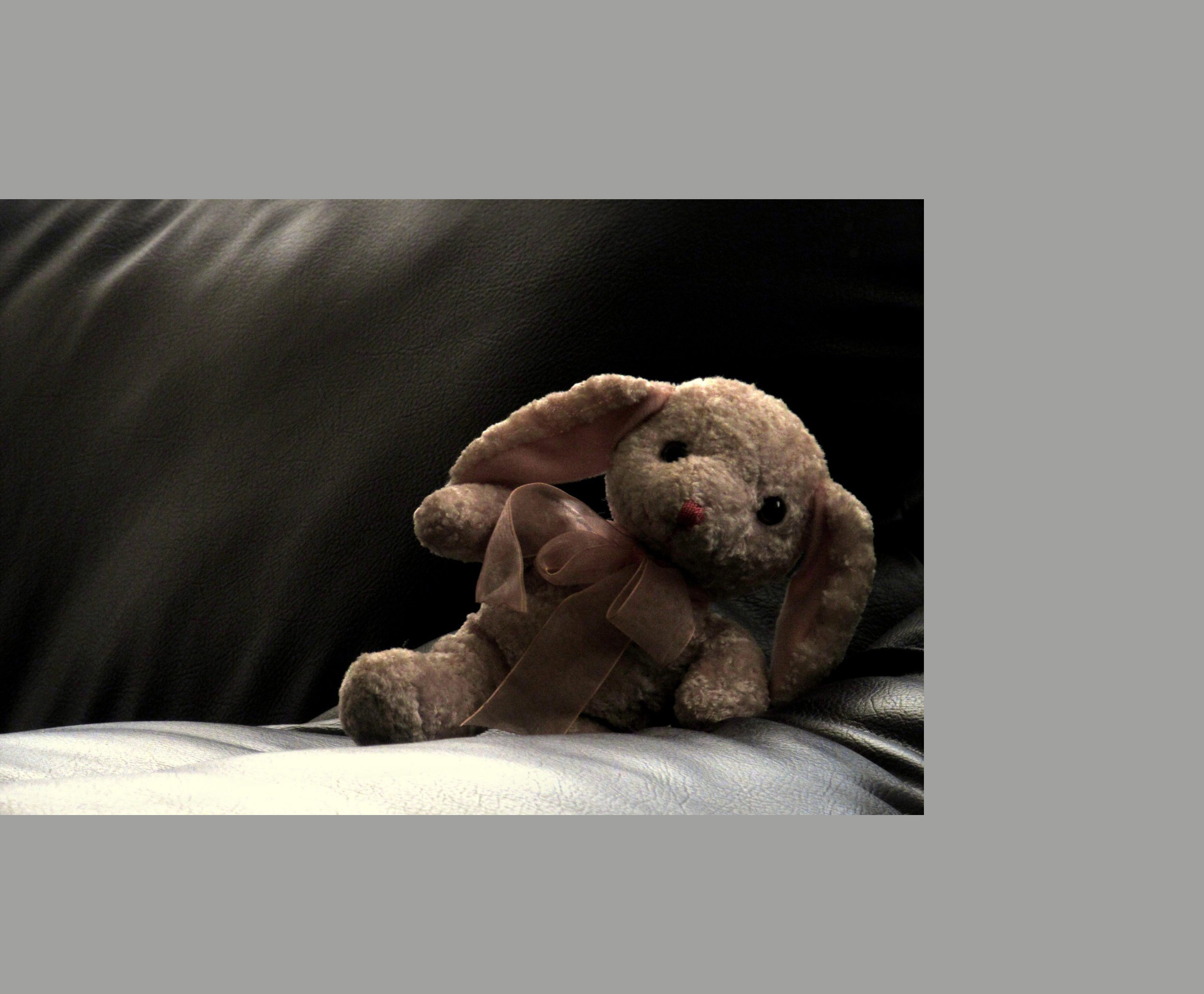 洛美儿的个人主页（封面预览） - 主页封面设置 - 站酷设计师洛美儿原创素材 - 站酷ZCOOL