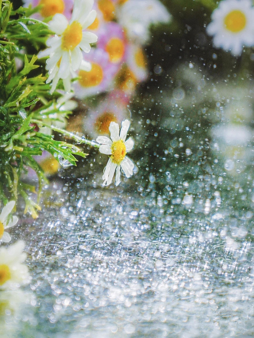 用镜子拍摄仙境水面