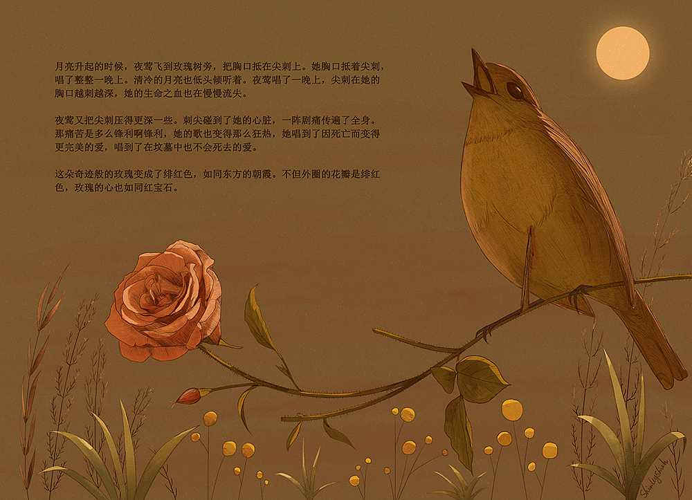 《夜鶯與玫瑰》繪本插圖（圖ZMjkzNDQzMDU2） - 繪本 - 站酷設(shè)計(jì)師ShirleyShieh原創(chuàng)素材 - 站酷ZCOOL