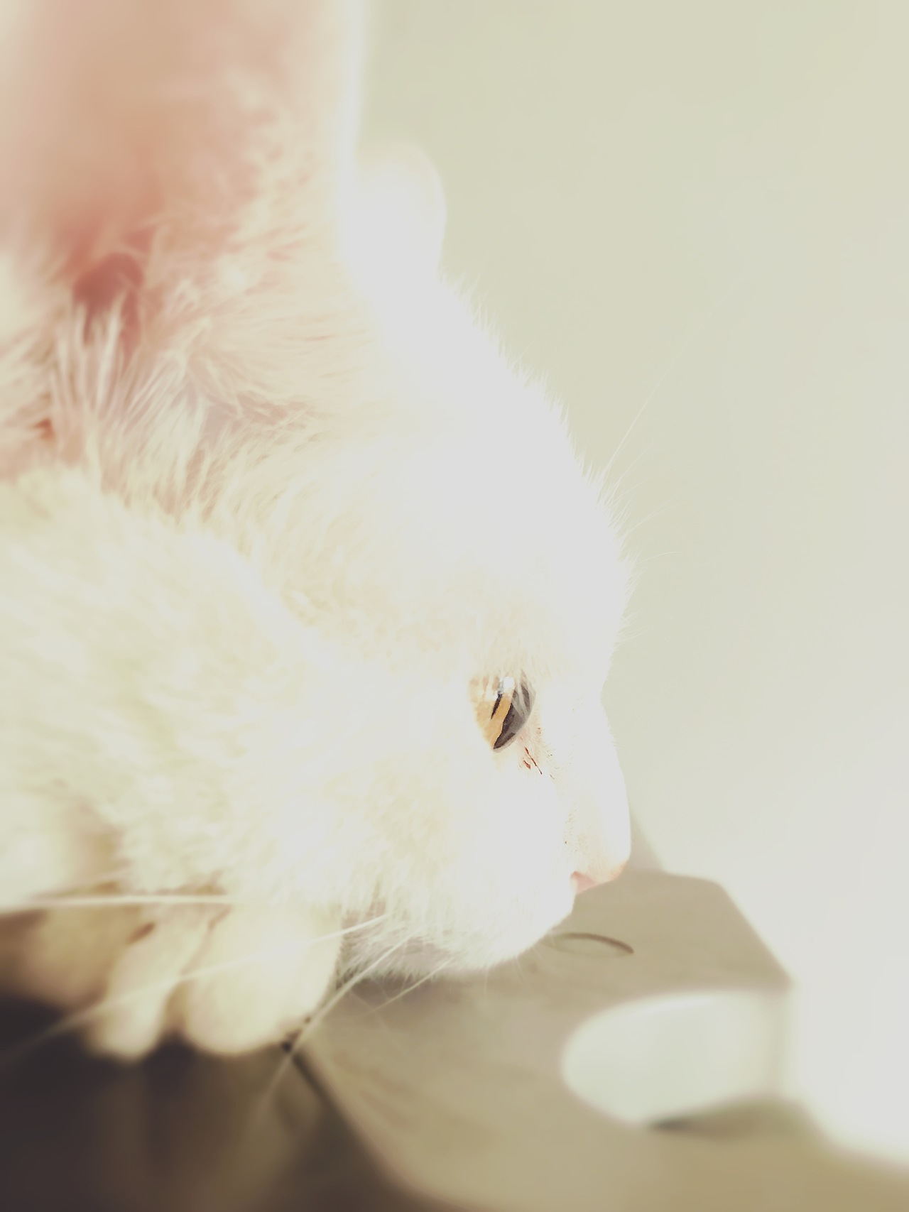 且行且珍惜（图ZODUyMjMyMzY=） - 其他 - 站酷设计师痴兽原创素材 - 站酷ZCOOL