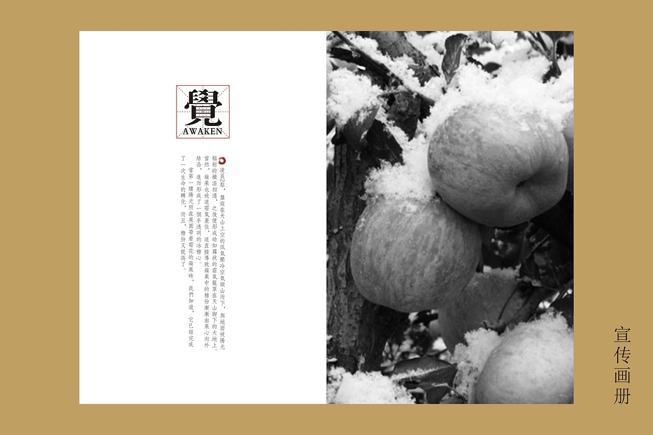 阿克苏苹果—第一道霜