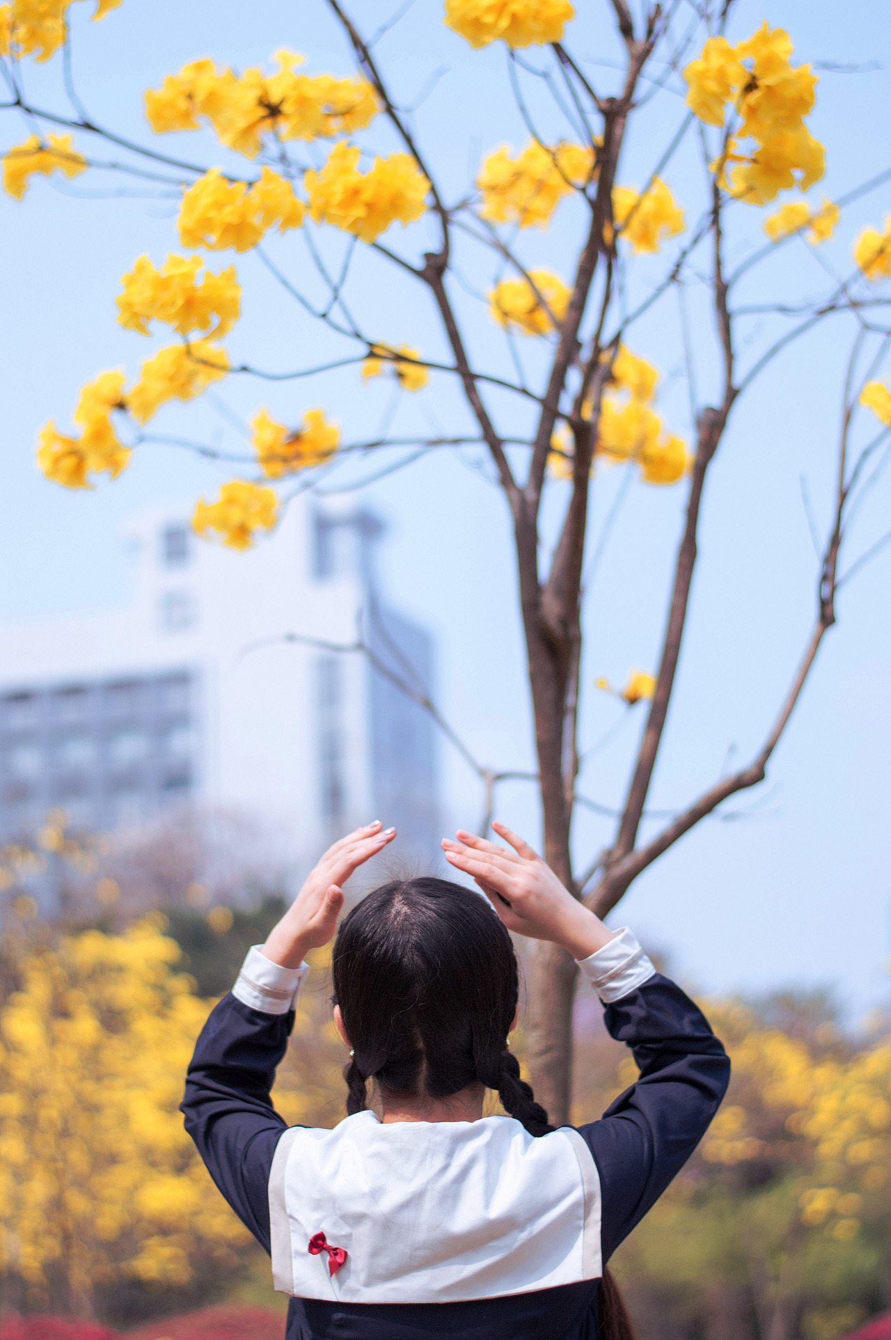 青春朝气,我命由我不由天!