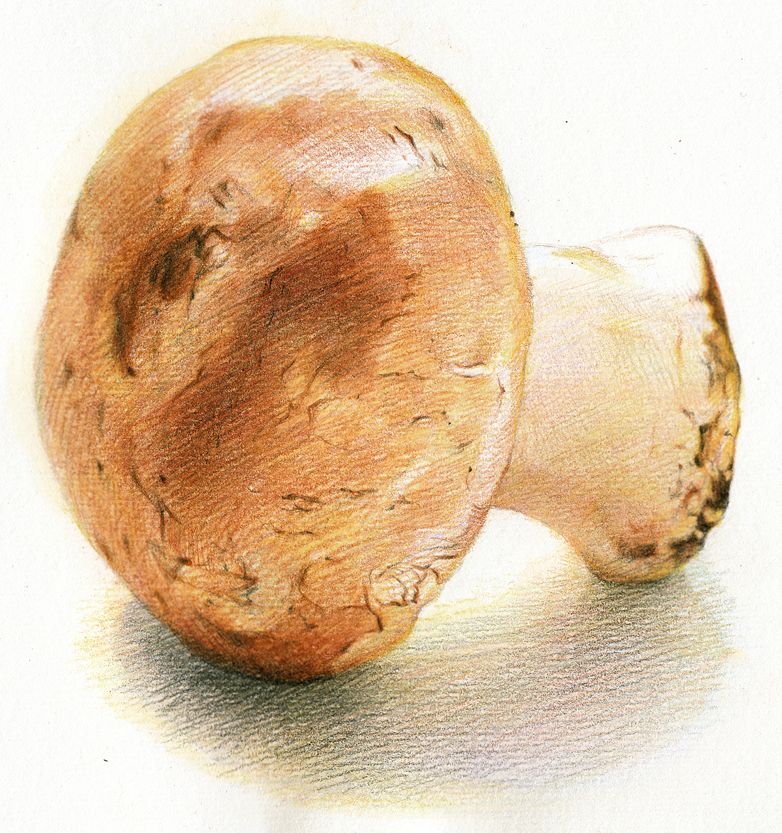 2012~2013彩铅画磨笔小品汇总