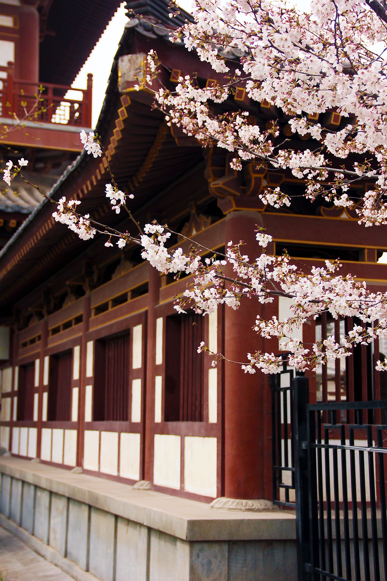 给这座城再留下点记忆