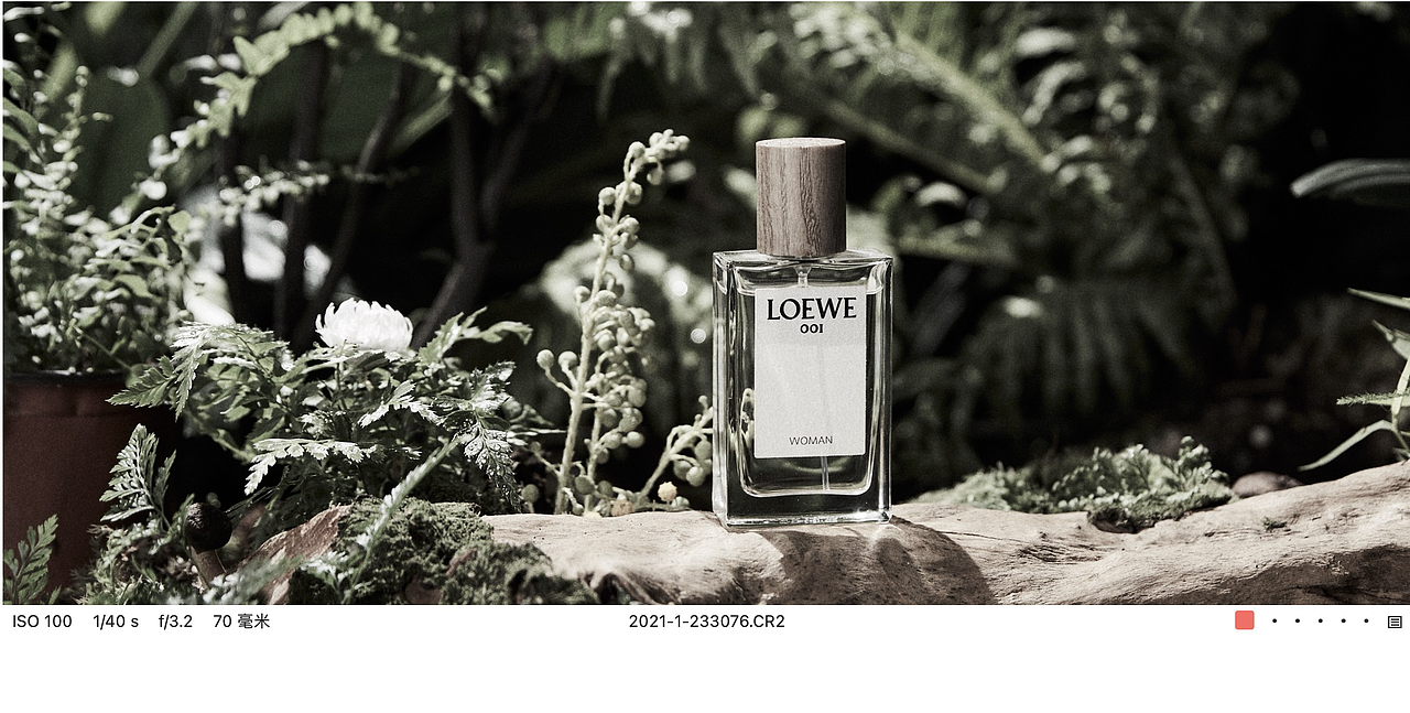 男士EDT淡香水事后清晨花木香 ✖LOEWE/罗意威