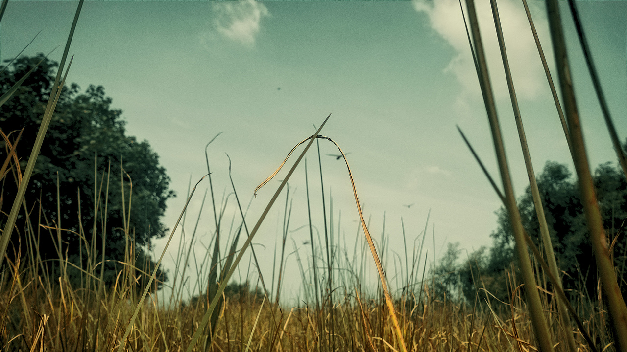 3.5（圖ZMTgyNjI0ODQ0） - 風(fēng)光攝影 - 站酷設(shè)計(jì)師門泥原創(chuàng)素材 - 站酷ZCOOL