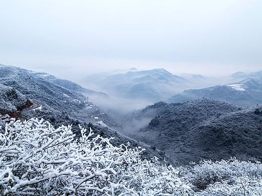 金徽春雪