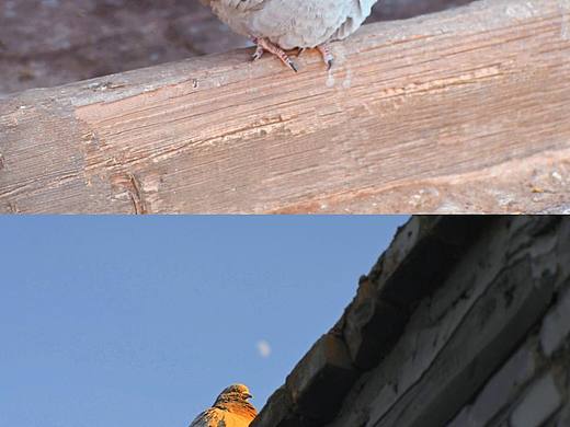 故鄉(xiāng)（個(gè)人主頁(yè)-ZNjM1Mzg2OTI=） - 風(fēng)光攝影 - 站酷設(shè)計(jì)師不在水里游泳的魚(yú)原創(chuàng)素材 - 站酷ZCOOL