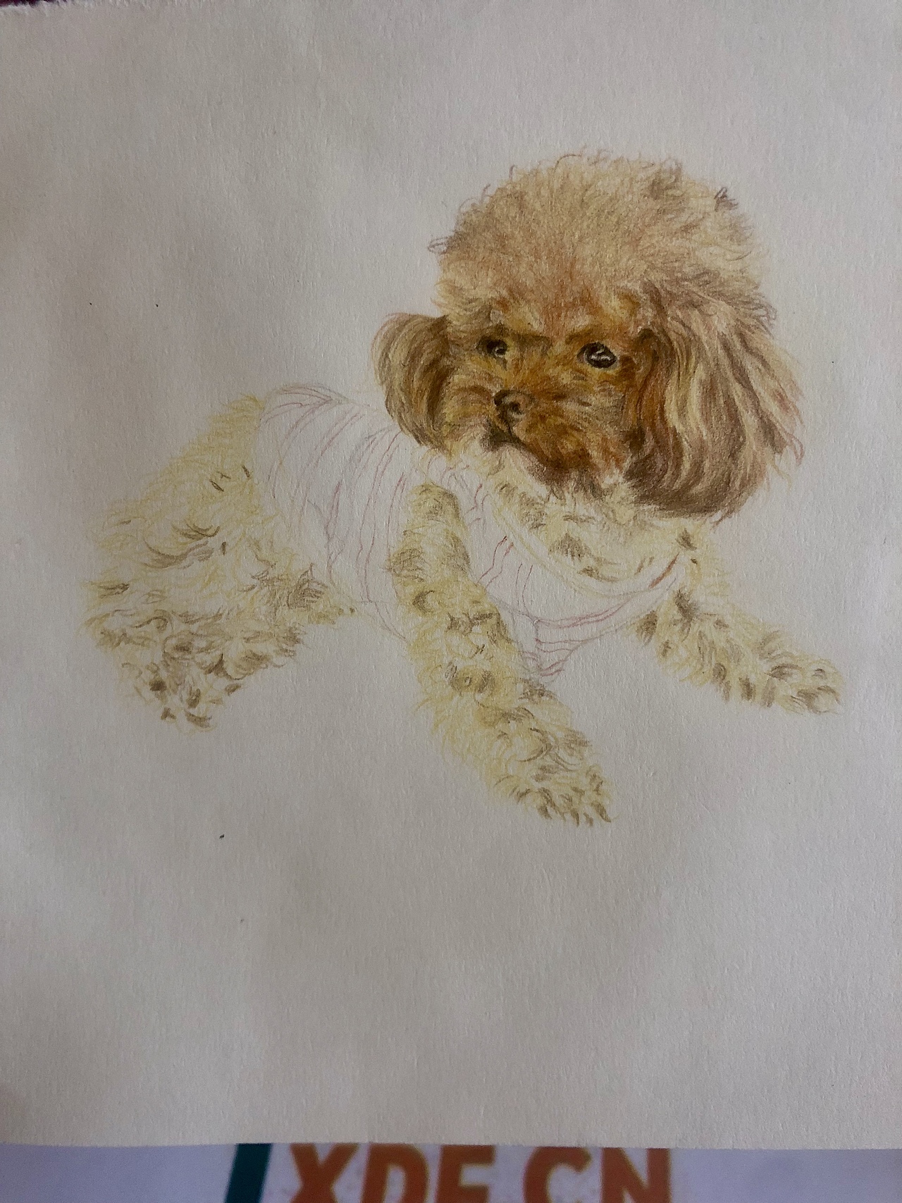 小狗楚楚（图ZMjAwMjIzNDg4） - 绘画 - 站酷设计师DulcineaM原创素材 - 站酷ZCOOL