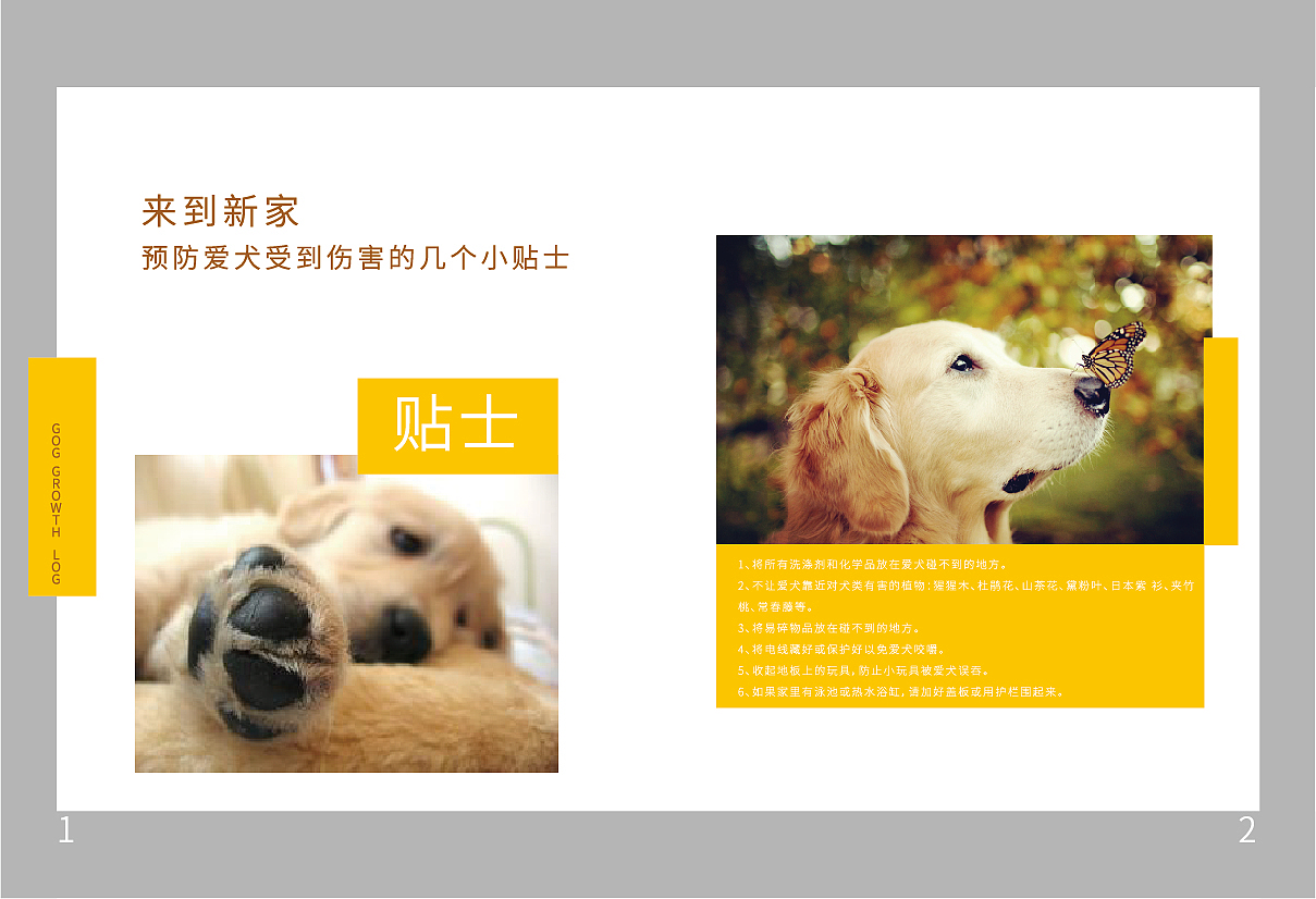 宠物画册（图ZMjE5ODQ5Mzg4） - 其他 - 站酷设计师俺是设计小白原创素材 - 站酷ZCOOL