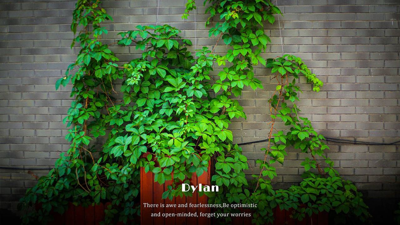 留住夏天 随手拍（图ZMzQ5MzY1NTMy） - 其他摄影 - 站酷设计师柒海Dylan原创素材 - 站酷ZCOOL