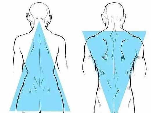 男女背部结构的区别画法，教你正确掌握人体结构的画法
