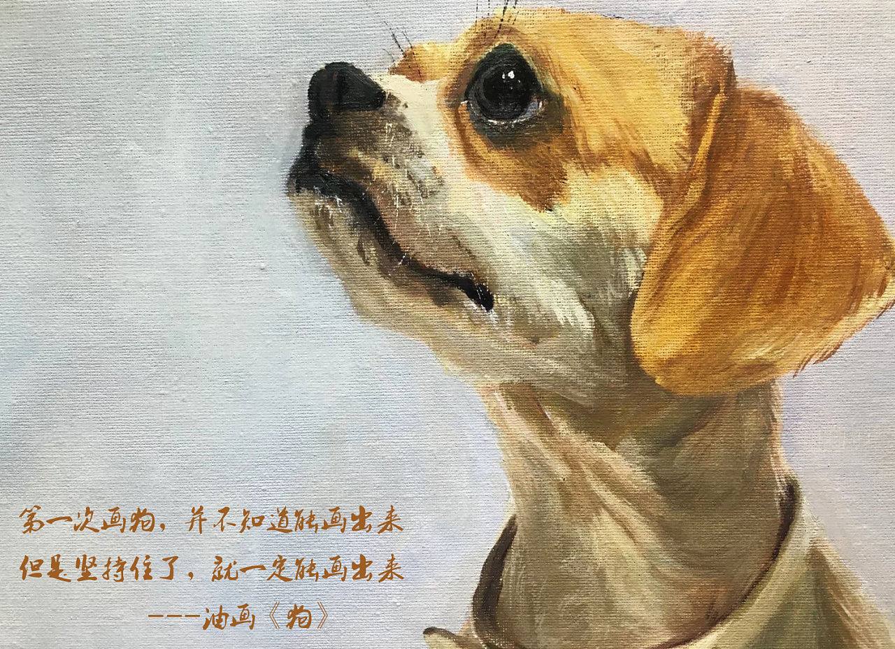 小黄狗|纯艺术|绘画|ming__c - 原创作品 - 站酷 (ZCOOL)