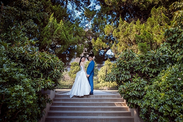 从校园走出的爱情