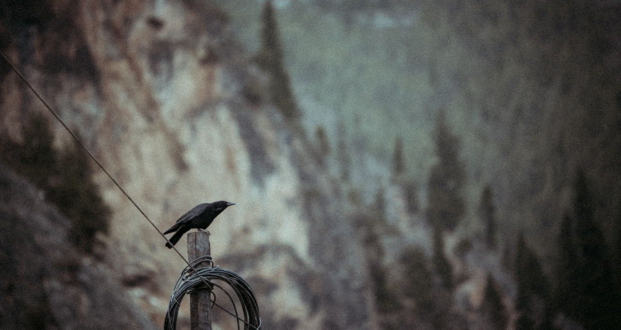 秘境 · 像素甘南（图ZMjY4MzExODI4） - 短片 - 站酷设计师Blackstation影像原创素材 - 站酷ZCOOL