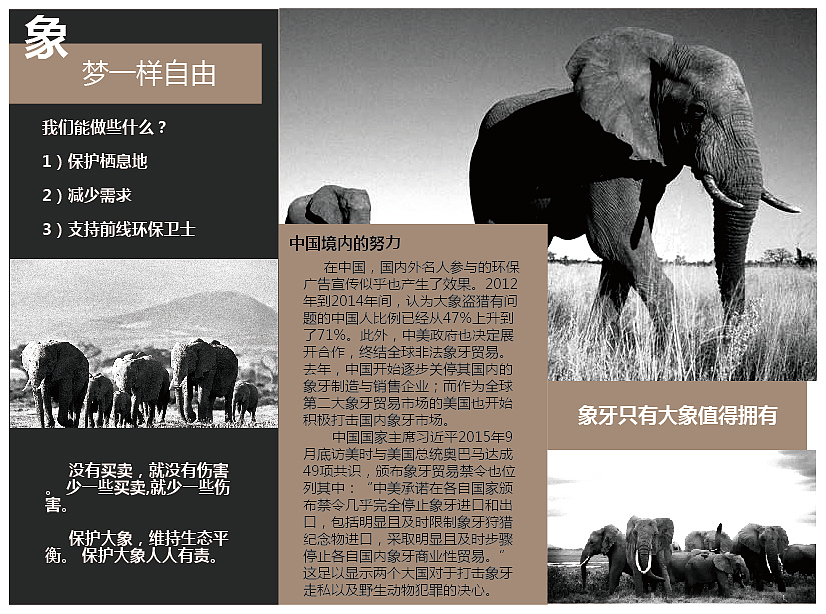 电商海报，画册，三折页以及易拉宝（图ZMjMyMjE2MjI4） - 海报 - 站酷设计师唐三岁吖原创素材 - 站酷ZCOOL