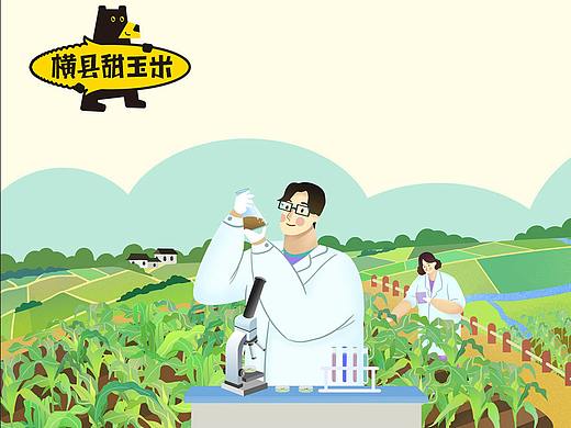 区域品牌插画：《横县甜玉米》IP及品牌长图