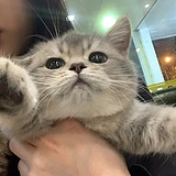 啵鸪的头像