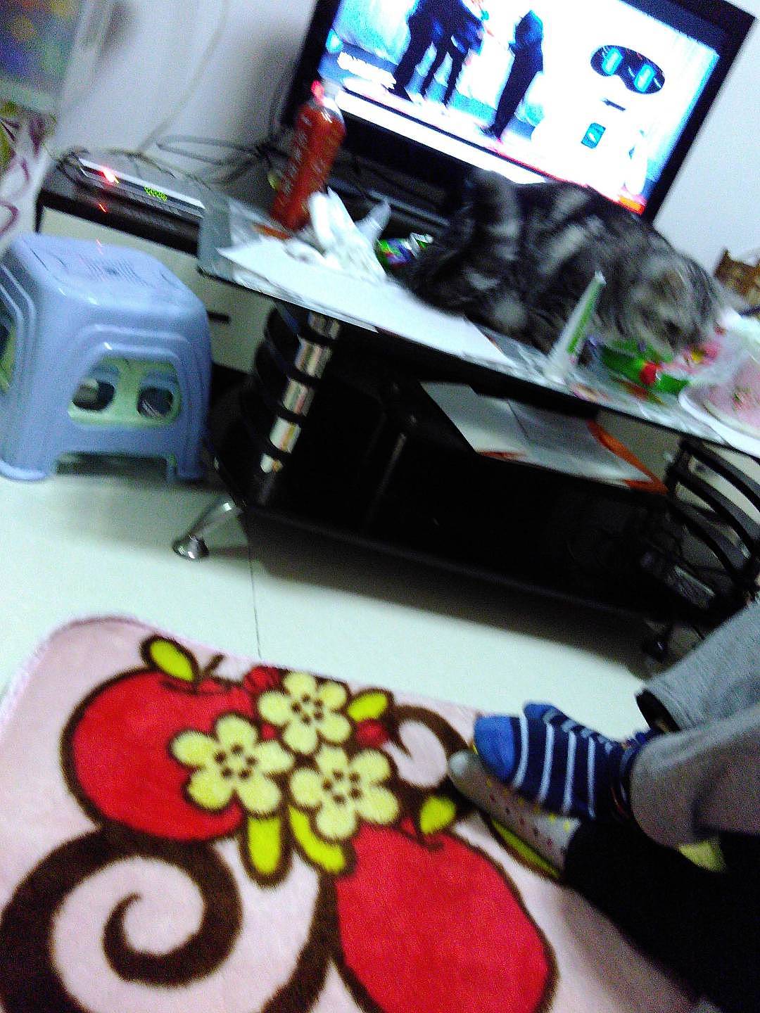 拍猫集02（图ZMTM1NTQ5NDg0） - 宠物摄影 - 站酷设计师嘟嘟2019原创素材 - 站酷ZCOOL