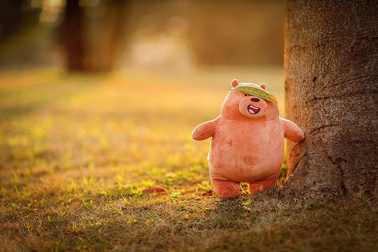 一只离家出走的胖熊