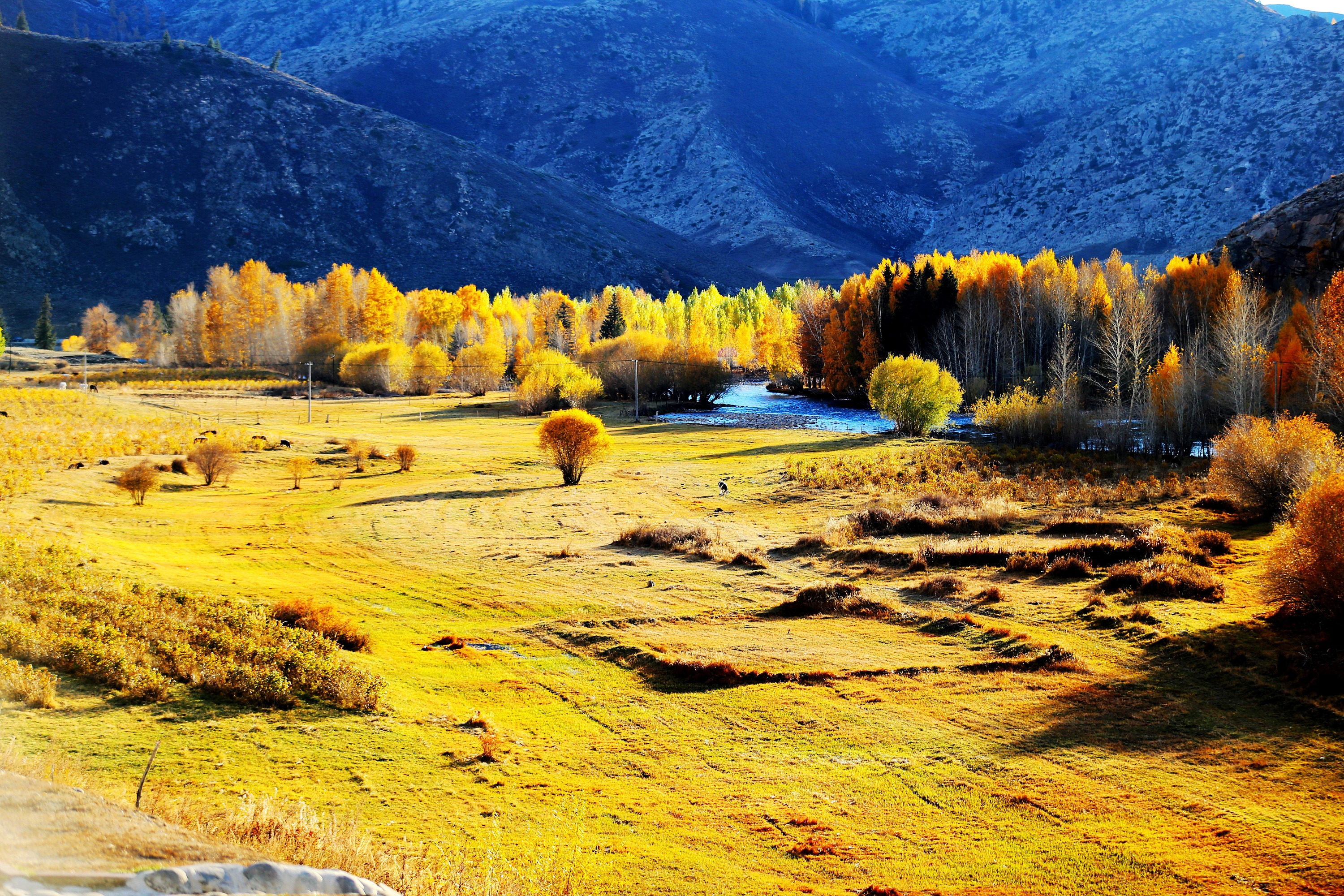 新疆富蕴可可托海秋韵