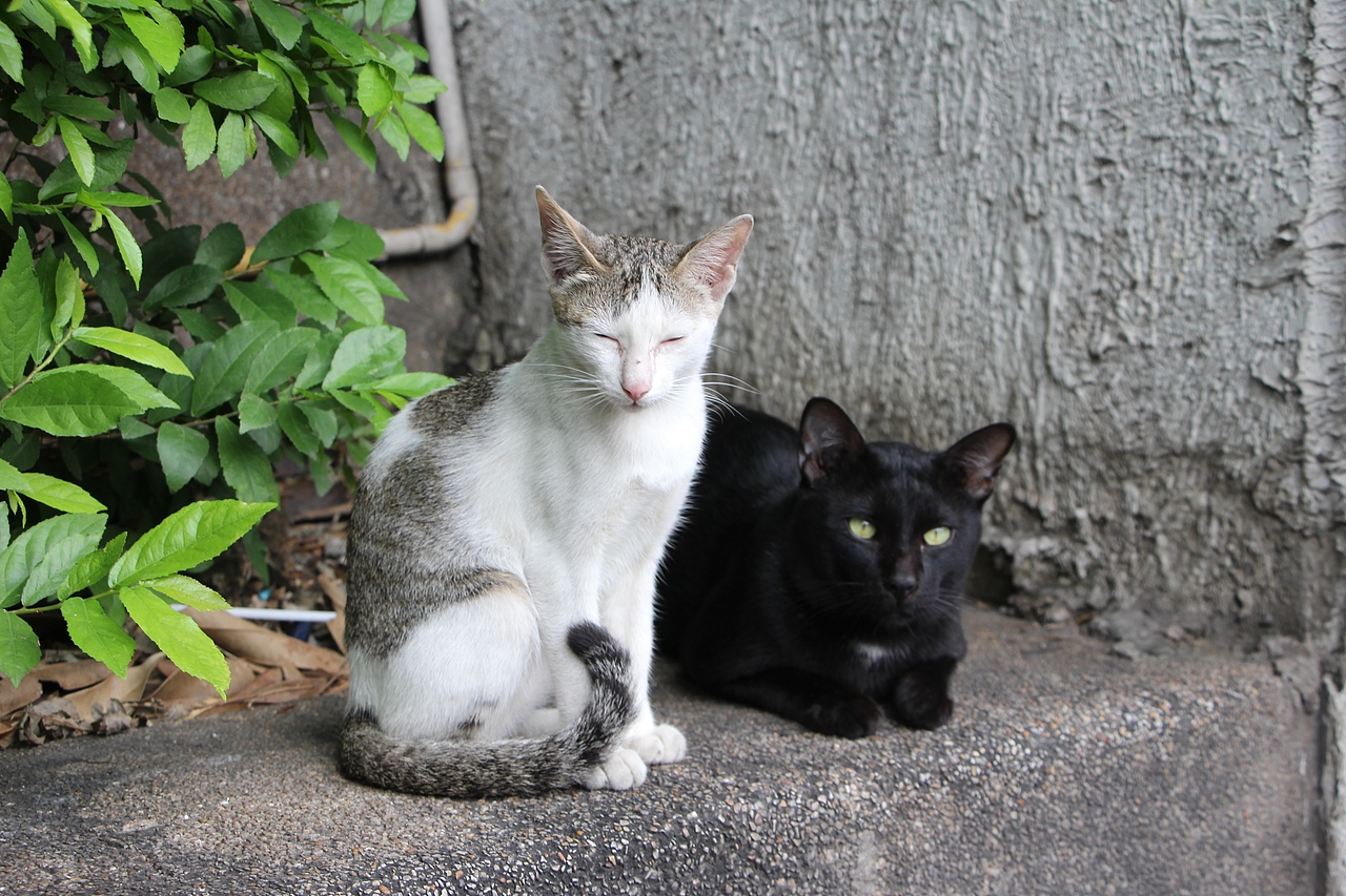 睁一双眼，闭一双眼