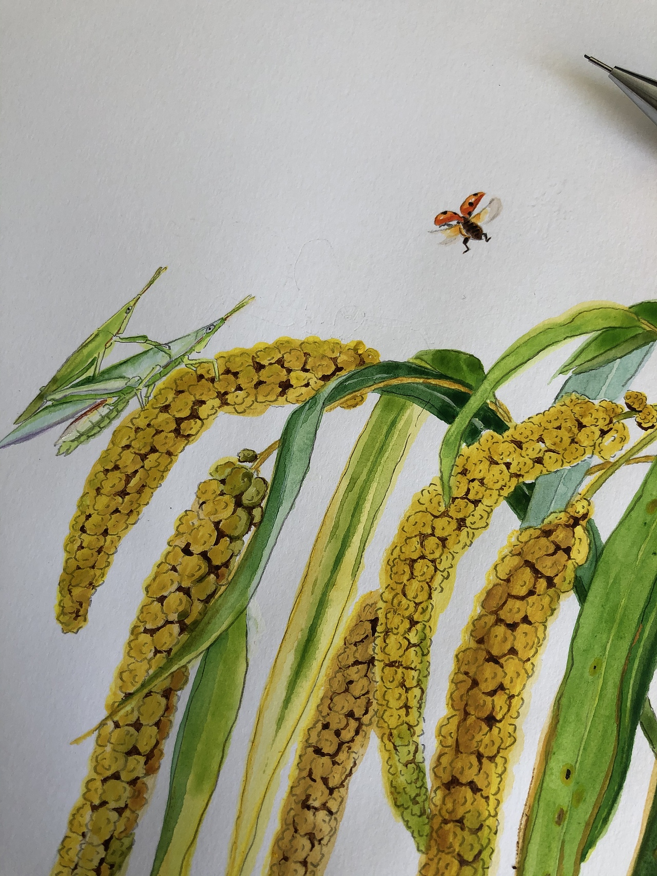 谷穗|插画|儿童插画|春美_原创作品-站酷zcool