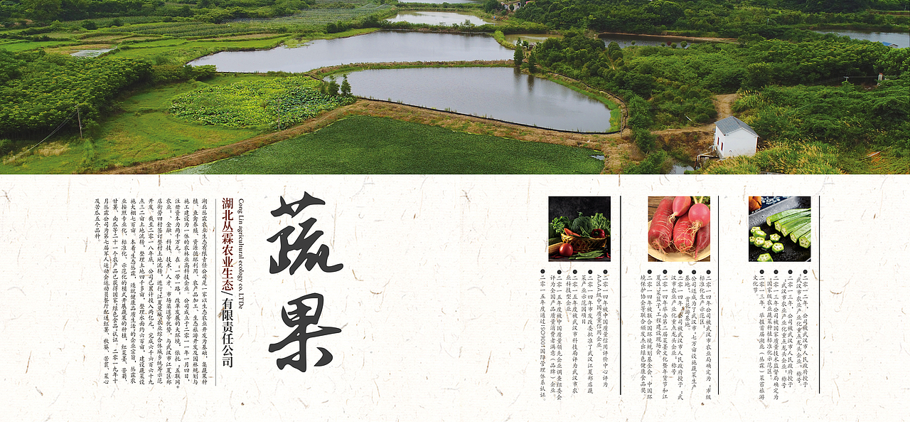 武汉市江夏区画册排版设计（图ZMjMwNzg5MTY4） - 书籍/画册 - 站酷设计师开张品牌设计原创素材 - 站酷ZCOOL