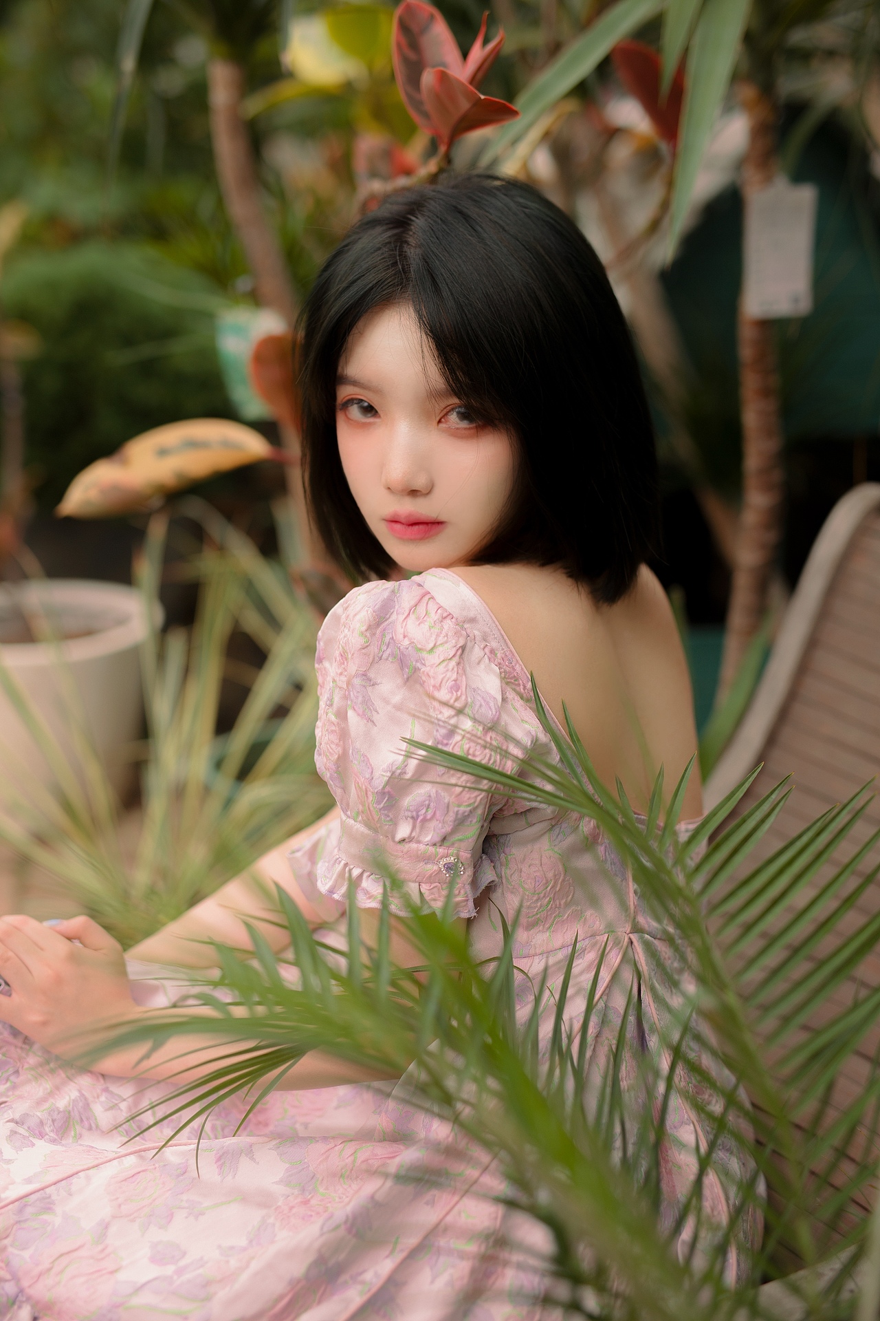 花房猫咪少女（图ZMjYwOTY4NDQw） - 人像摄影 - 站酷设计师三古酱原创素材 - 站酷ZCOOL