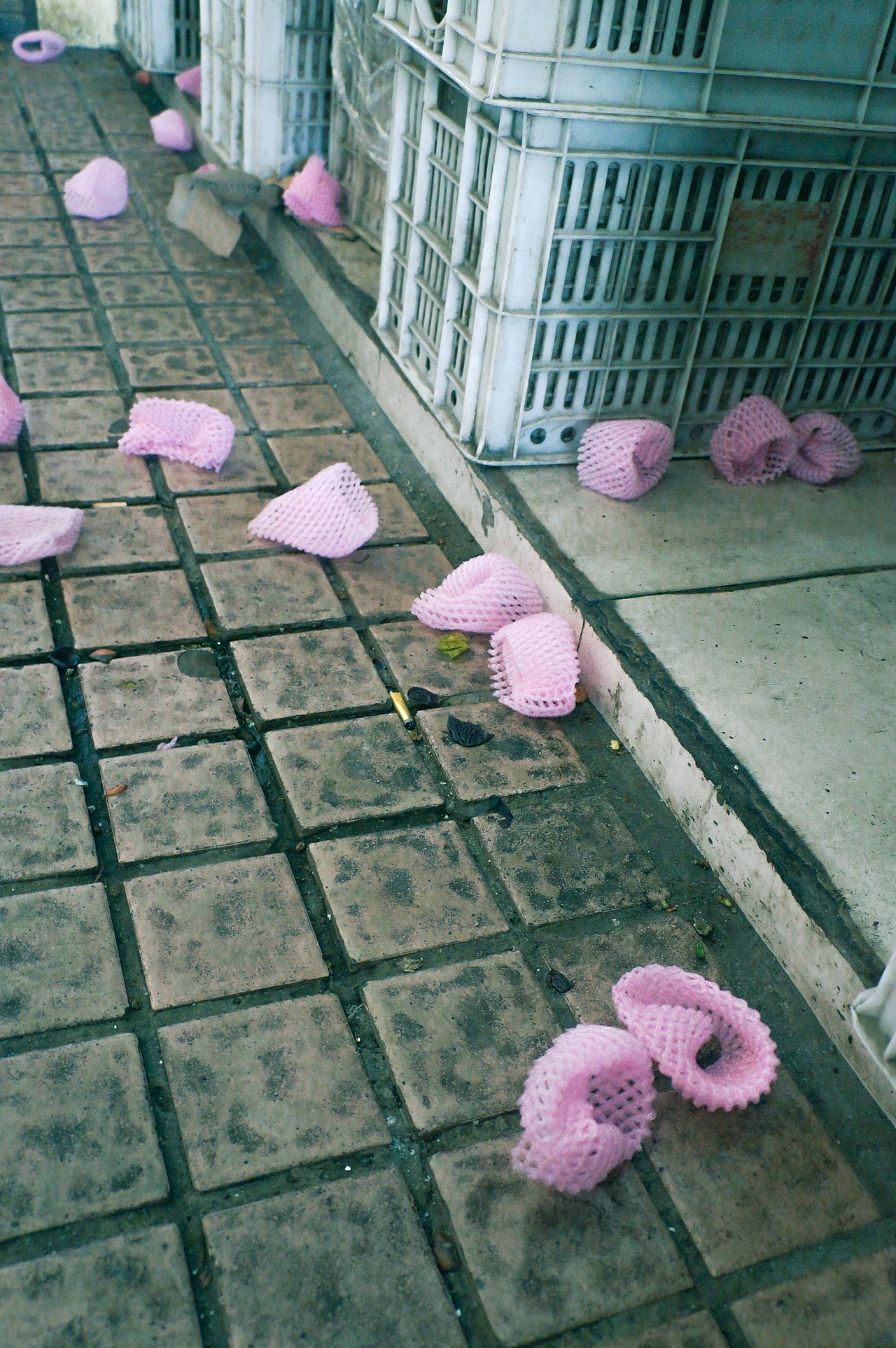 P!NK（圖ZMTA2MTAyMTg0） - 人文/紀(jì)實攝影 - 站酷設(shè)計師正在做任務(wù)原創(chuàng)素材 - 站酷ZCOOL