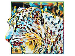 《保護野生動物》系列公益海報