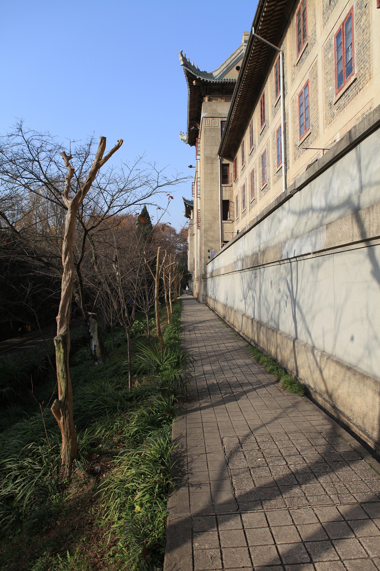 大学摄影随手拍拍（图ZMjUwOTMwNjA=） - 风光摄影 - 站酷设计师传媒摄影人原创素材 - 站酷ZCOOL