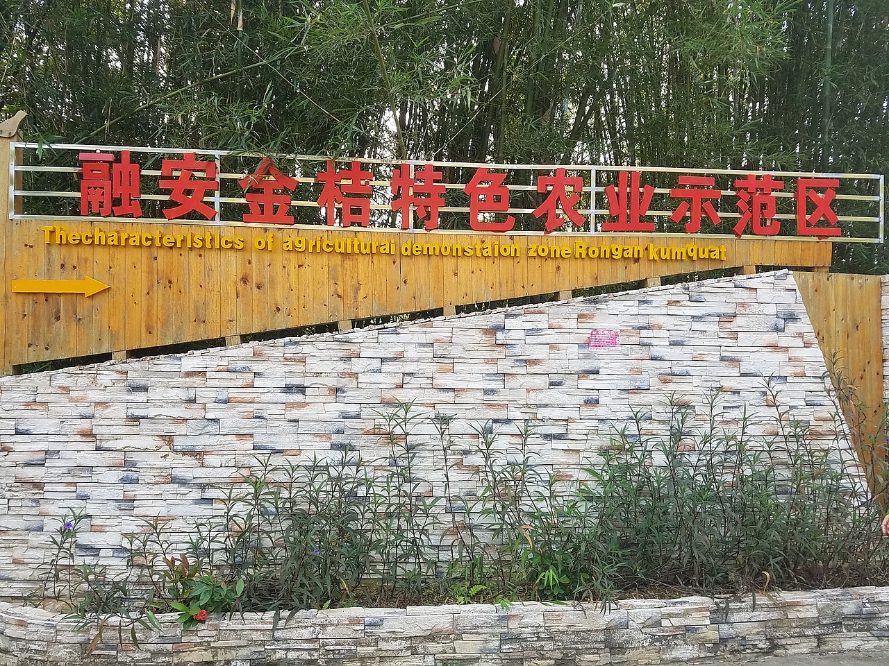 老男人果品融安金桔