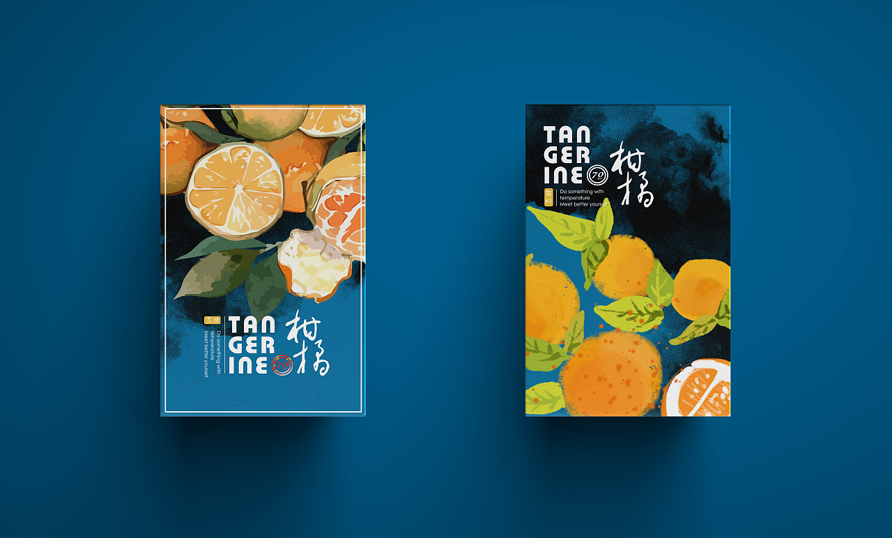 原创-柑橘水果插画包装设计